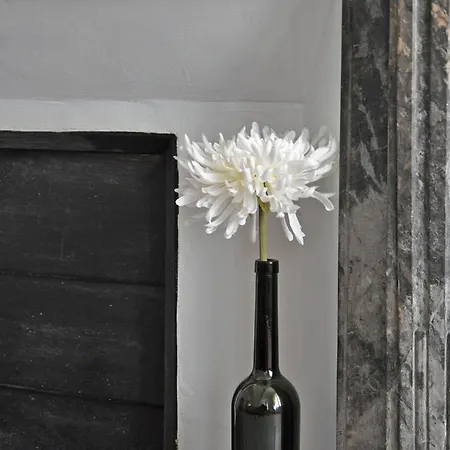 Daire Voltaire Carcassonne