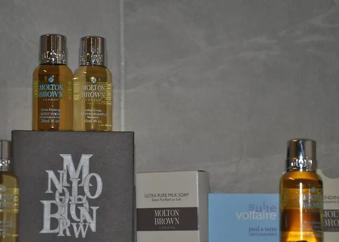 Voltaire Appartement Carcassonne